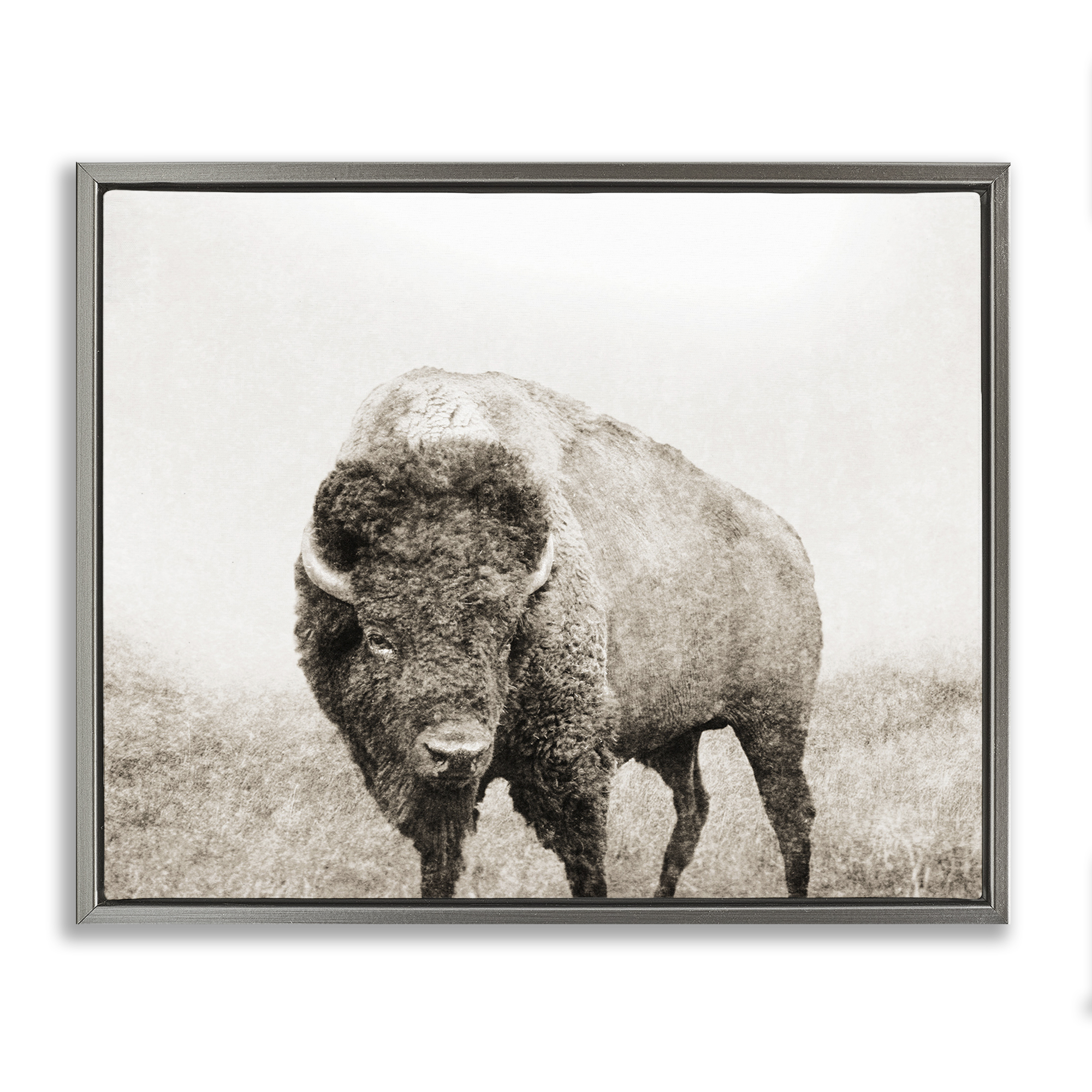 Stupell Industries Bison Distressed Portrait Animals & Insects Photography Gray Floater Framed Canvas Art Print Wall Art, 21 x 17