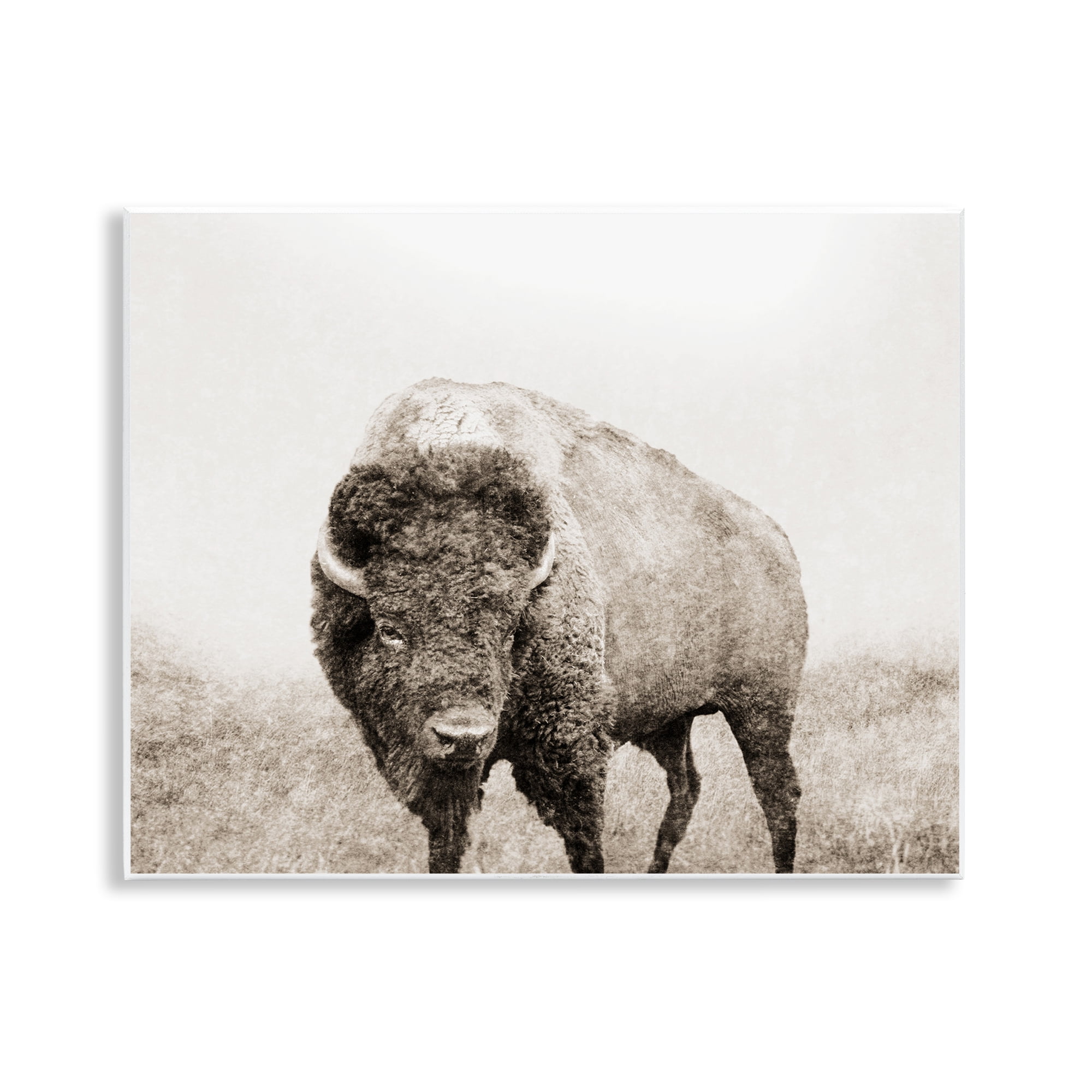Stupell Industries Bison Distressed Portrait Animals & Insects Photography Unframed Art Print Wall Art, 14 x 11