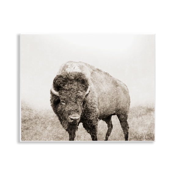 Stupell Industries Bison Distressed Portrait Animals & Insects Photography Unframed Art Print Wall Art, 14 x 11