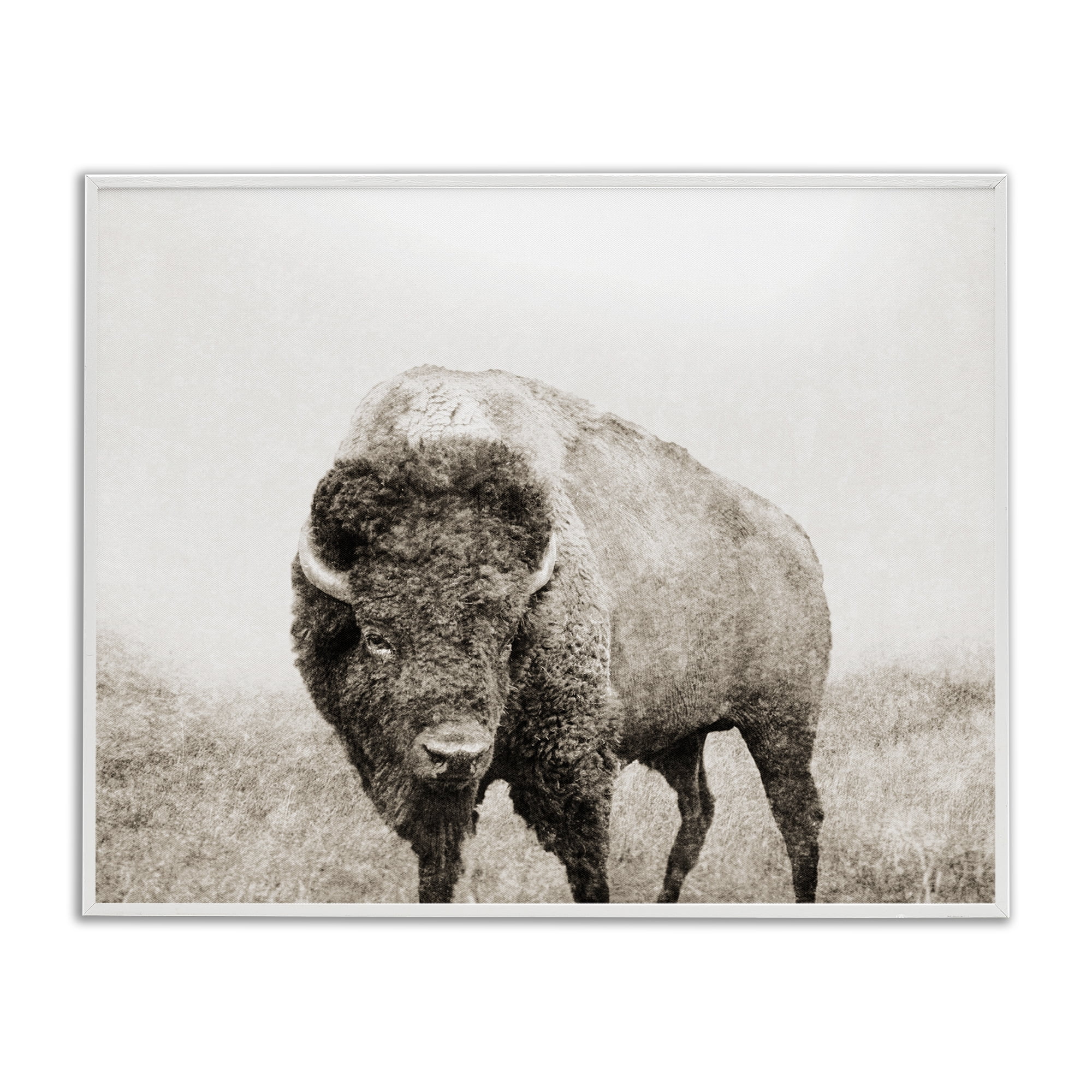 Stupell Industries Bison Distressed Portrait Animals & Insects Photography White Framed Art Print Wall Art, 30 x 24