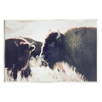 Stupell Industries Bison Gazing in Nature Animals & Insects Photography Unframed Art Print Wall Art, 15 x 10