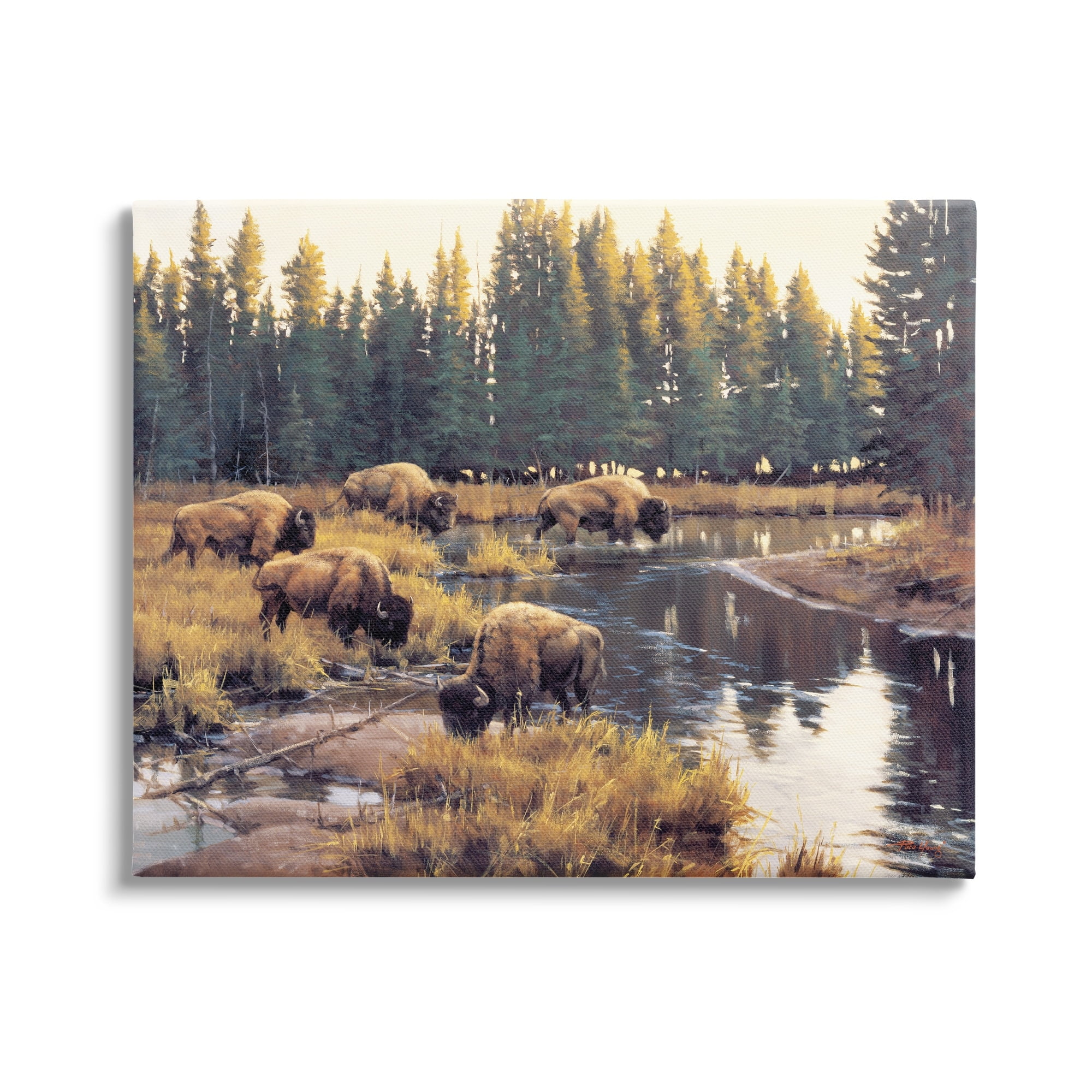 Stupell Industries Bison Grazing Along Stream Animals & Insects Painting Gallery Wrapped Canvas Print Wall Art