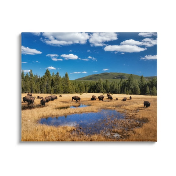 Stupell Industries Bison Grazing Clear Sky Pasture Landscape Photography Gallery Wrapped Canvas Print Wall Art