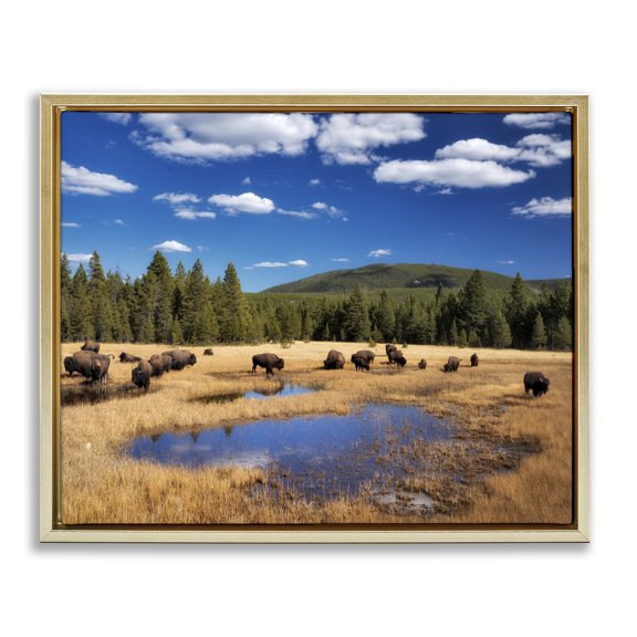 Stupell Industries Farmhouse Bison Grazing Clear Sky Pasture Gold Floating Frame Canvas Art, 21 x 17, by Dennis Frates