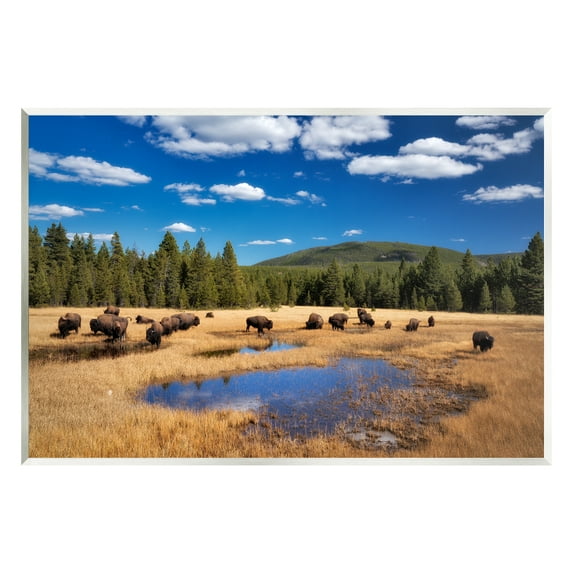 Stupell Industries Bison Grazing Clear Sky Pasture Landscape Photography Unframed Art Print Wall Art