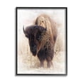 thumbnail image 1 of Stupell Industries Bison Grazing Photography Animals & Insects Painting Black Framed Art Print Wall Art, 11 x 14, 1 of 9