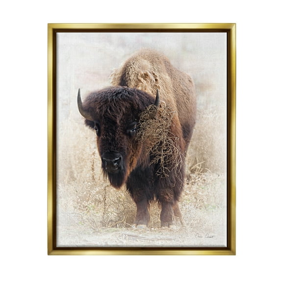 Stupell Industries Bison Grazing Photography Animals & Insects Painting Gold Floater Framed Art Print Wall Art, 17 x 21