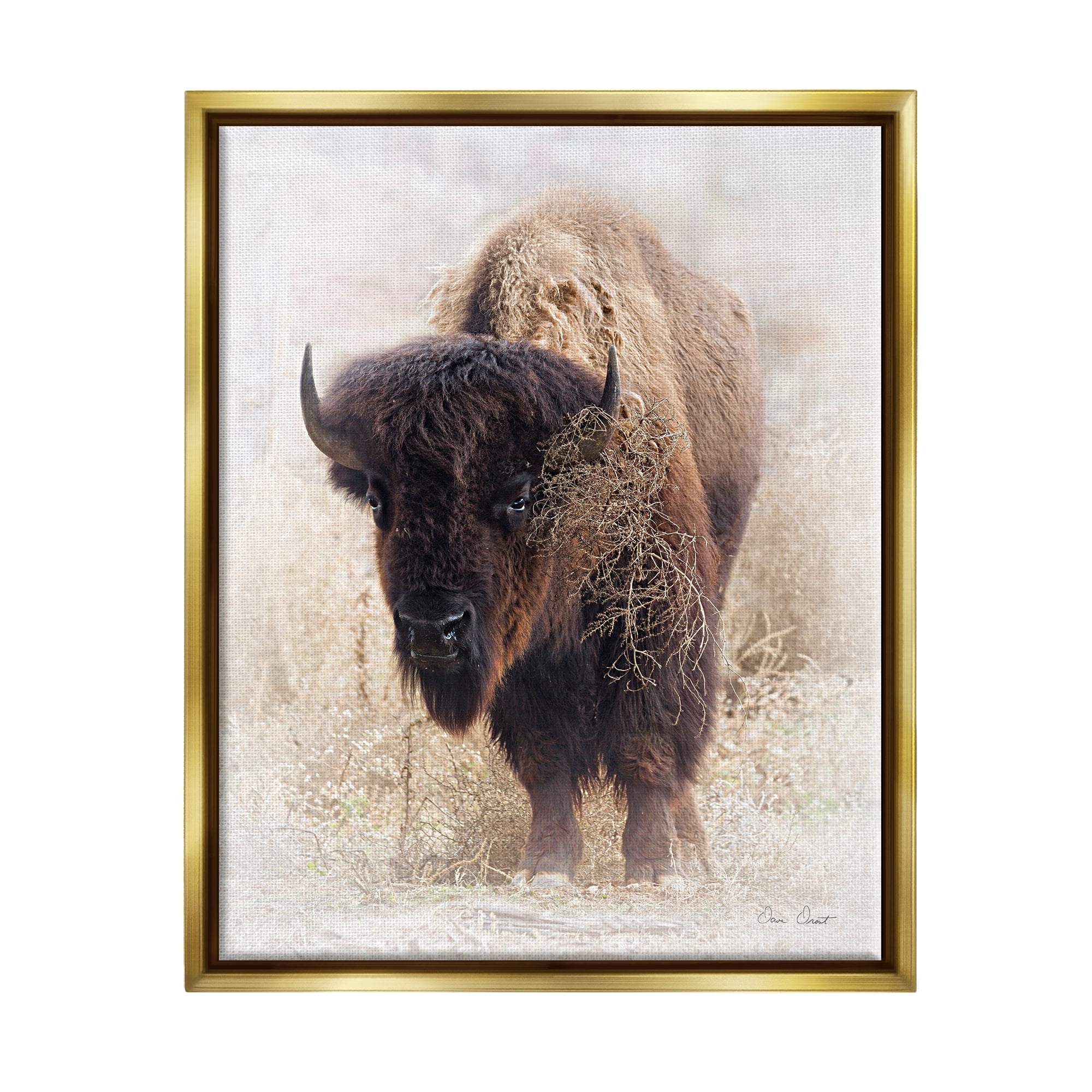Stupell Industries Bison Grazing Photography Animals & Insects Painting Gold Floater Framed Art Print Wall Art, 25 x 31