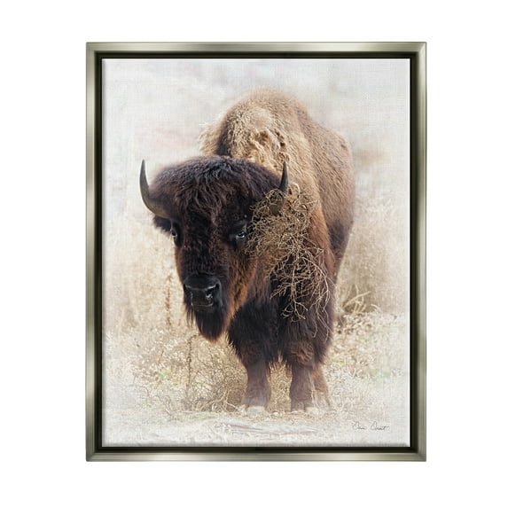 Stupell Industries Bison Grazing Photography Animals & Insects Painting Gray Floater Framed Art Print Wall Art, 25 x 31