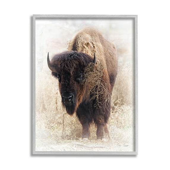 Stupell Industries Bison Grazing Photography Animals & Insects Painting Gray Framed Art Print Wall Art, 16 x 20