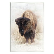 Stupell Industries Bison Grazing Photography Animals & Insects Painting Unframed Art Print Wall Art, 10 x 15