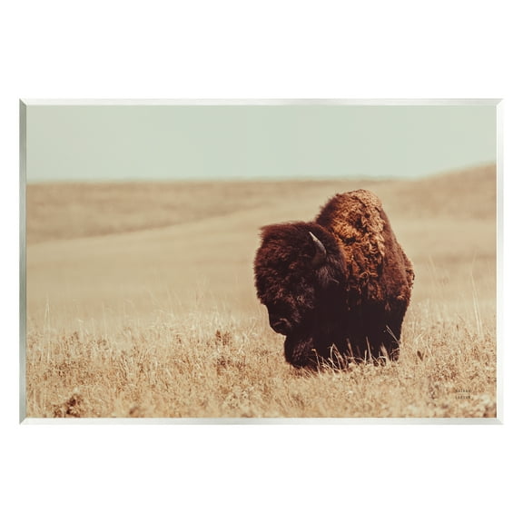 Stupell Industries Bison Grazing Tall Grass Animals & Insects Photography Unframed Art Print Wall Art, 15 x 10