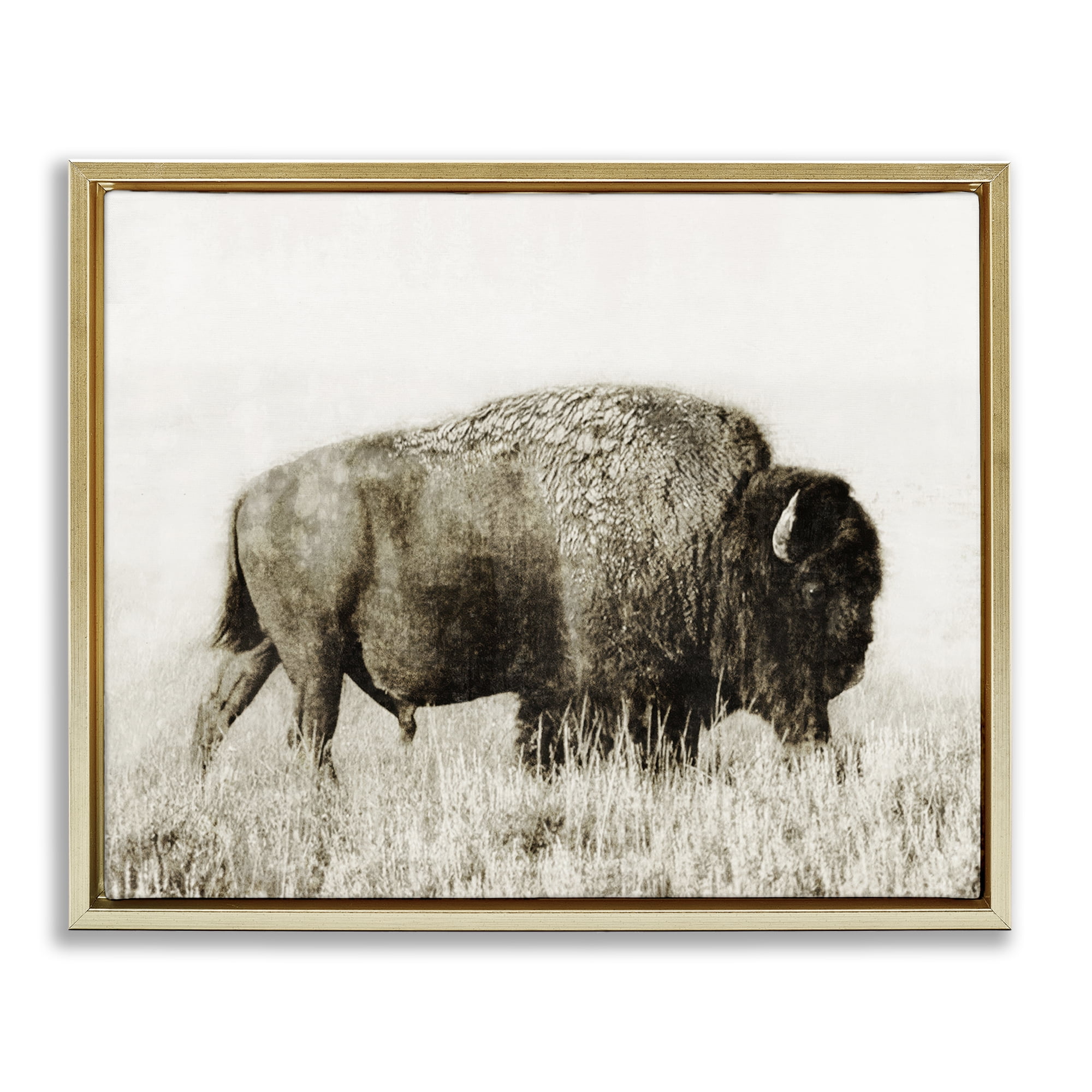 Stupell Industries Bison Grazing in Field Animals Photography Gold Floater Framed Canvas Art Print Wall Art, 21 x 17