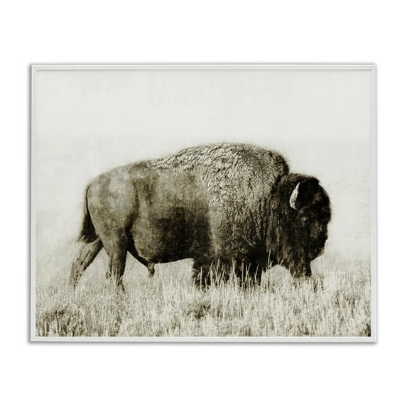 Stupell Industries Bison Grazing in Field Animals Photography White Framed Art Print Wall Art, 20 x 16