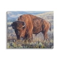 thumbnail image 1 of Stupell Industries Bison Grazing on Prairie Animals & Insects Photography Gallery Wrapped Canvas Print Wall Art, 20 x 16, 1 of 8