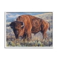 thumbnail image 1 of Stupell Industries Bison Grazing on Prairie Animals & Insects Photography White Framed Art Print Wall Art, 30 x 24, 1 of 9