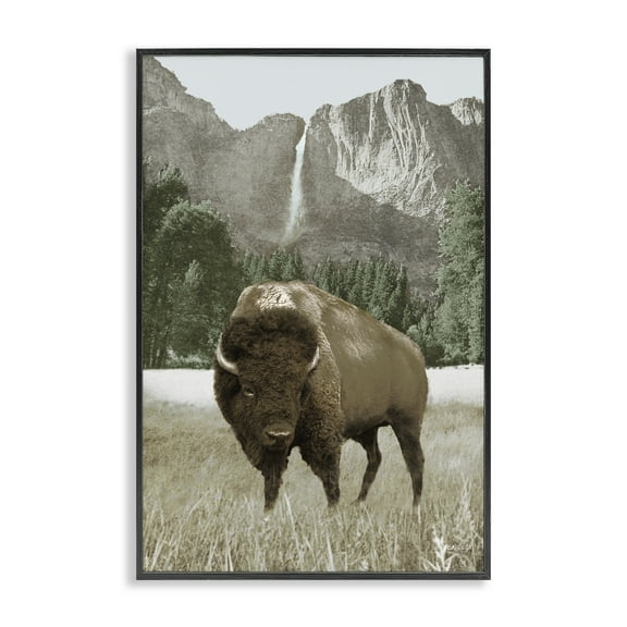 Stupell Industries Bison & Mountain Landscape Animals & Insects Photography Black Framed Art Print Wall Art, 12 x 18