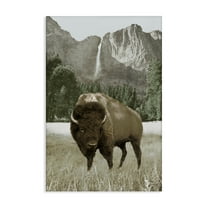 Stupell Industries Bison & Mountain Landscape Animals & Insects Photography Gallery Wrapped Canvas Art Print Wall Art, 16 x 24