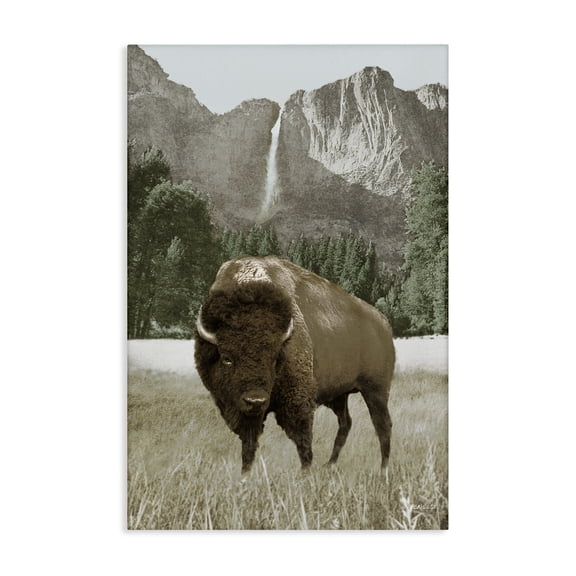 Stupell Industries Bison & Mountain Landscape Animals & Insects Photography Gallery Wrapped Canvas Art Print Wall Art, 30 x 45