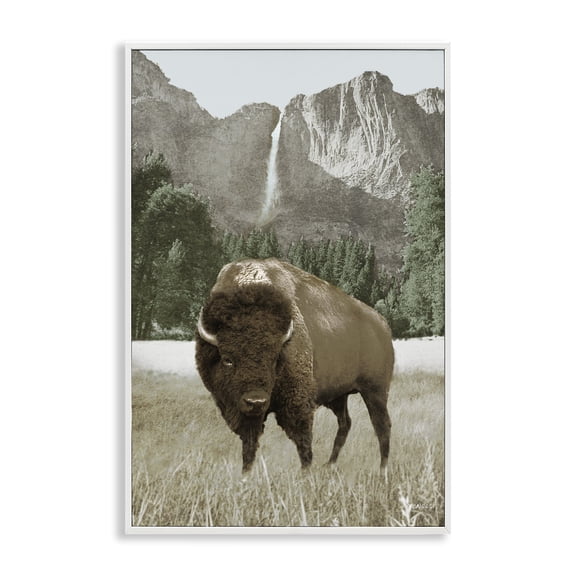 Stupell Industries Bison & Mountain Landscape Animals & Insects Photography White Framed Art Print Wall Art, 12 x 18