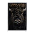 thumbnail image 1 of Stupell Industries Rustic Lodge Bison Portrait Close Up Black Floating Frame Canvas Art, 17 x 25, by Creative Studio, 1 of 8