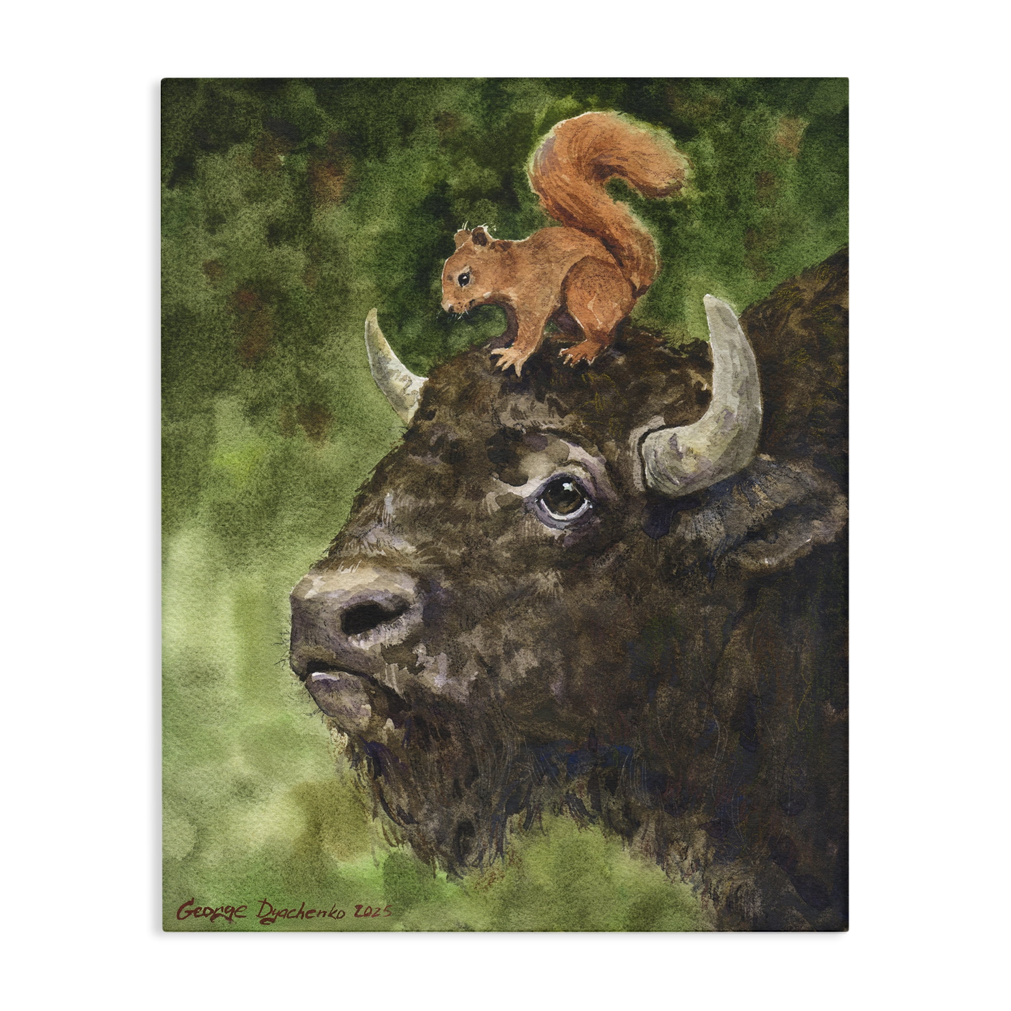 Stupell Industries Bison & Squirrel Duo Canvas Wall Art, design by George Dyachenko