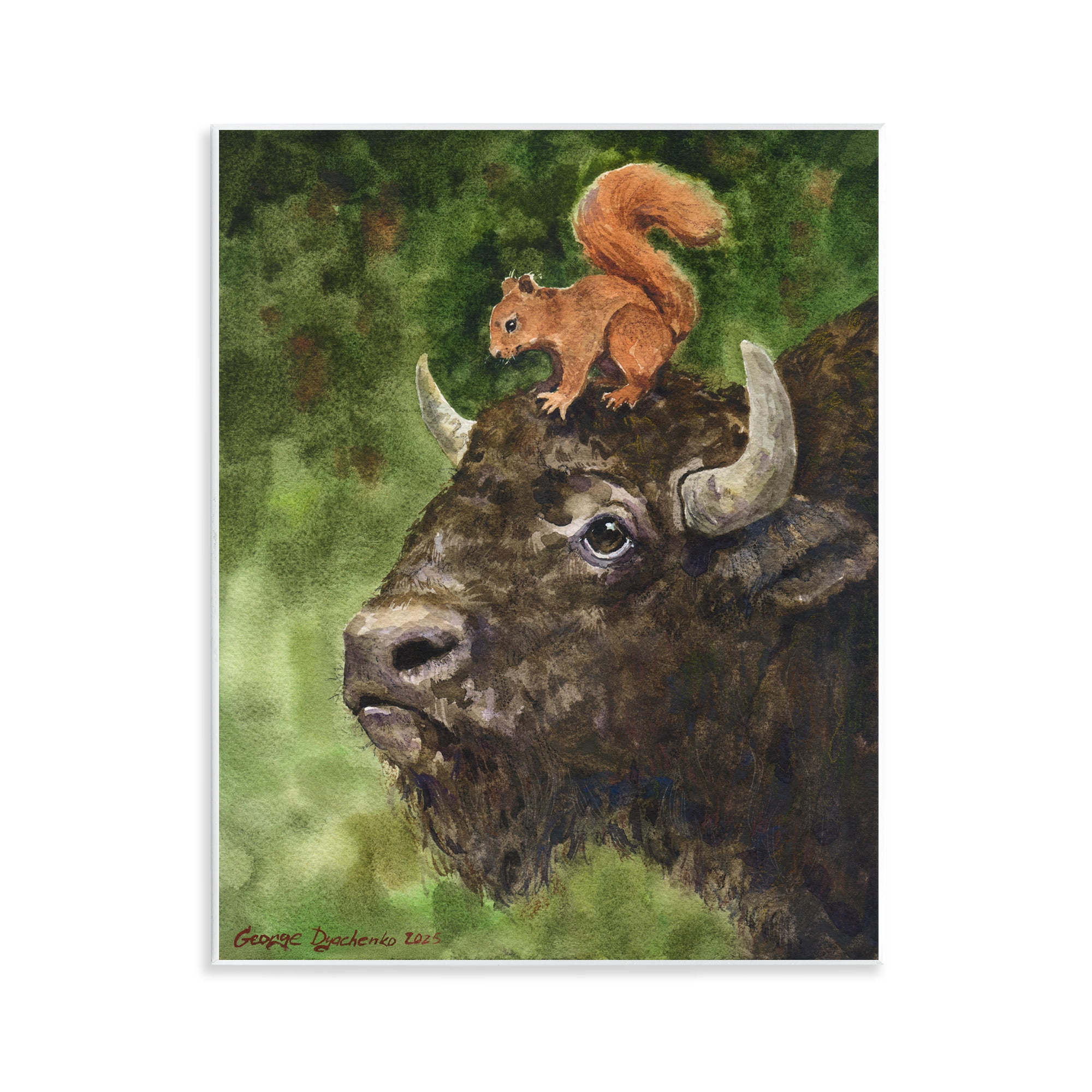 Stupell Industries Bison & Squirrel Duo Wall Plaque Art, design by George Dyachenko
