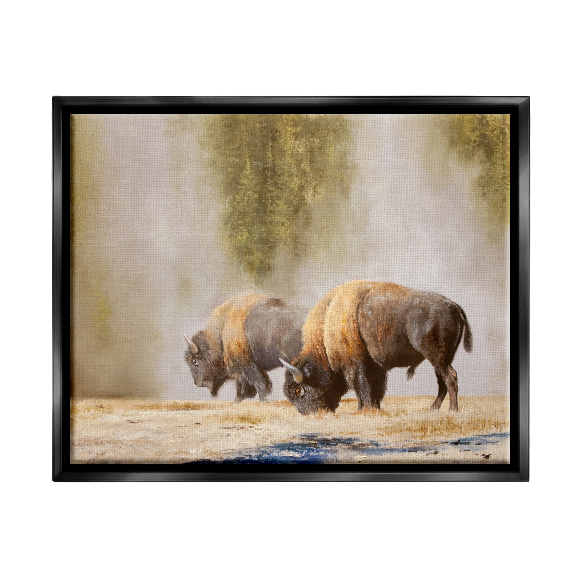 Stupell Industries Bison Wildlife Photography Animals & Insects Painting Black Floater Framed Art Print Wall Art