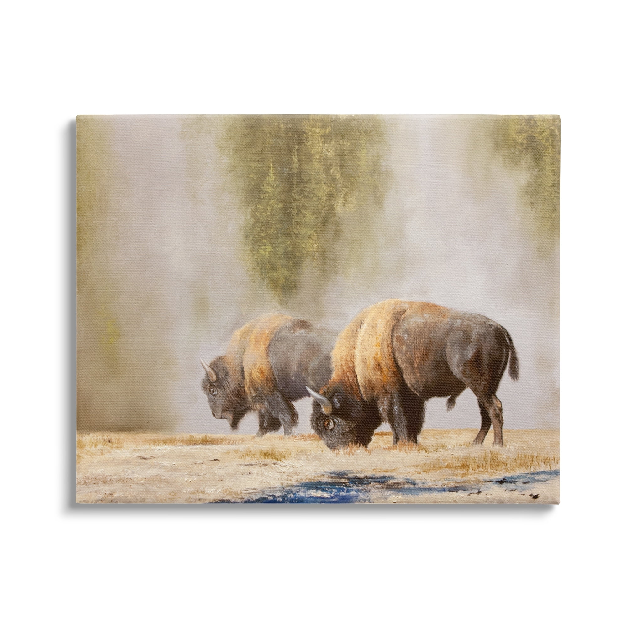 Stupell Industries Bison Wildlife Photography Animals & Insects Painting Gallery Wrapped Canvas Print Wall Art
