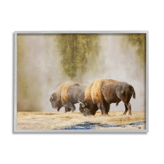 Stupell Industries Bison Wildlife Photography Animals & Insects Painting Gray Framed Art Print Wall Art