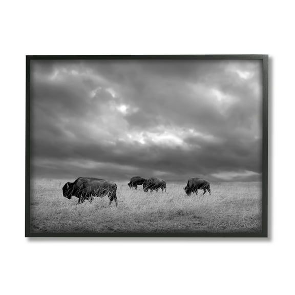 Stupell Industries Bison in Cloudy Field Landscape Photography Black Framed Art Print Wall Art, 20 x 16