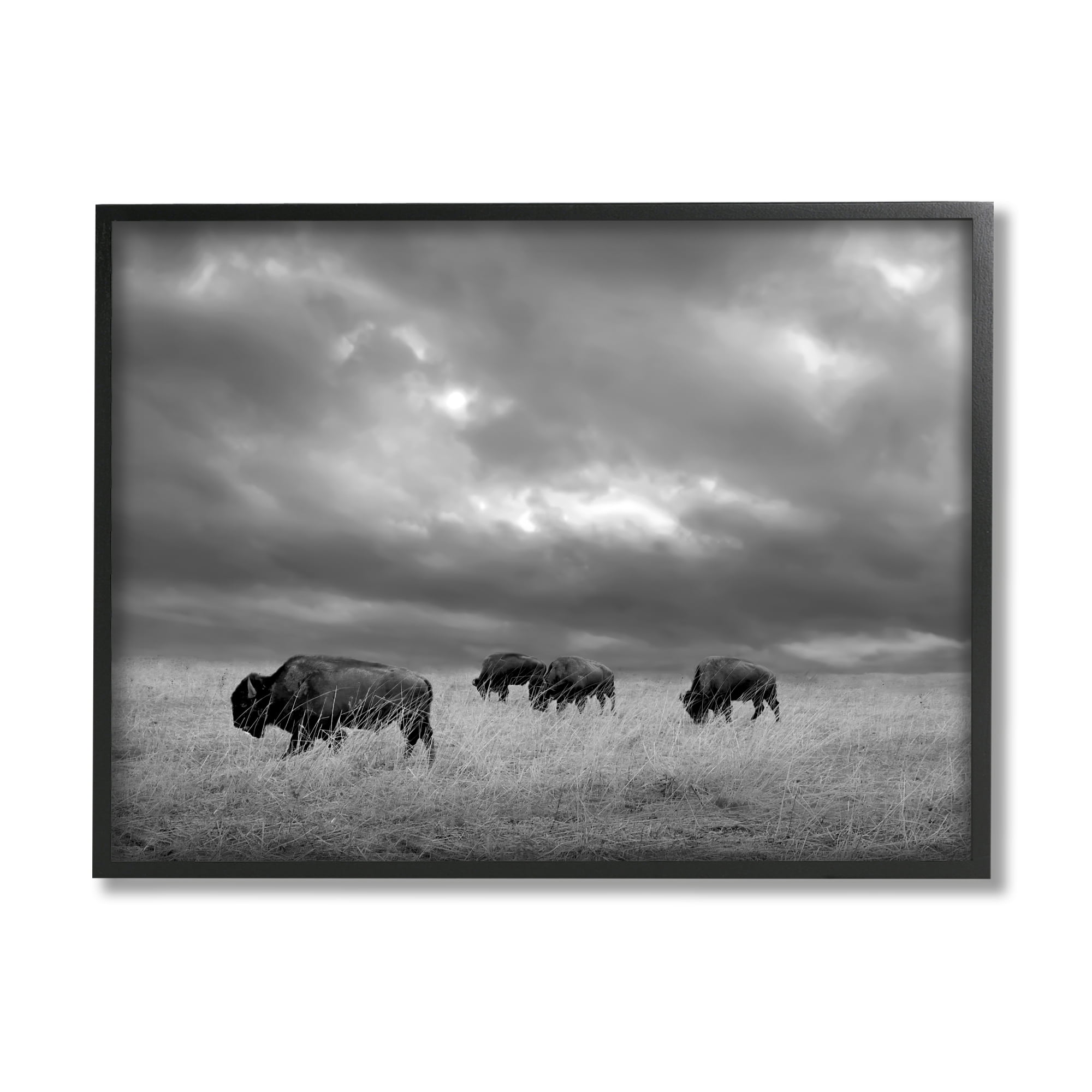 Stupell Industries Bison in Cloudy Field Landscape Photography Black Framed Art Print Wall Art, 30 x 24