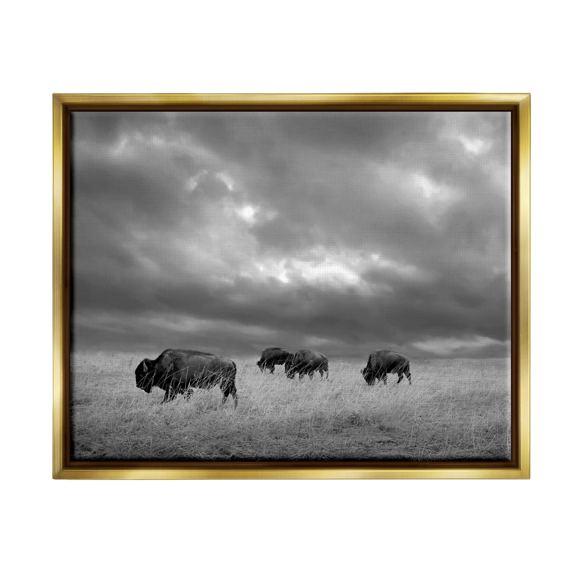 Stupell Industries Bison in Cloudy Field Landscape Photography Gold Floater Framed Canvas Art Print Wall Art, 21 x 17