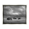 thumbnail image 1 of Stupell Industries Bison in Cloudy Field Landscape Photography Gray Floater Framed Canvas Art Print Wall Art, 21 x 17, 1 of 10