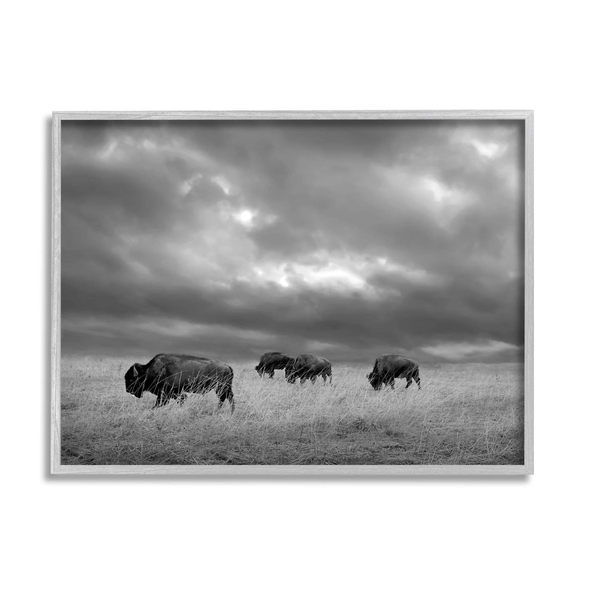 Stupell Industries Bison in Cloudy Field Landscape Photography Gray Framed Art Print Wall Art, 30 x 24