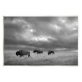 thumbnail image 1 of Stupell Industries Bison in Cloudy Field Landscape Photography Unframed Art Print Wall Art, 15 x 10, 1 of 7