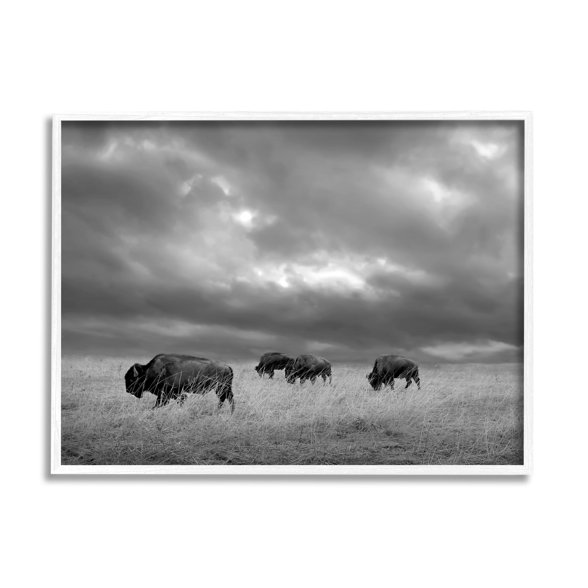 Stupell Industries Bison in Cloudy Field Landscape Photography White Framed Art Print Wall Art, 30 x 24