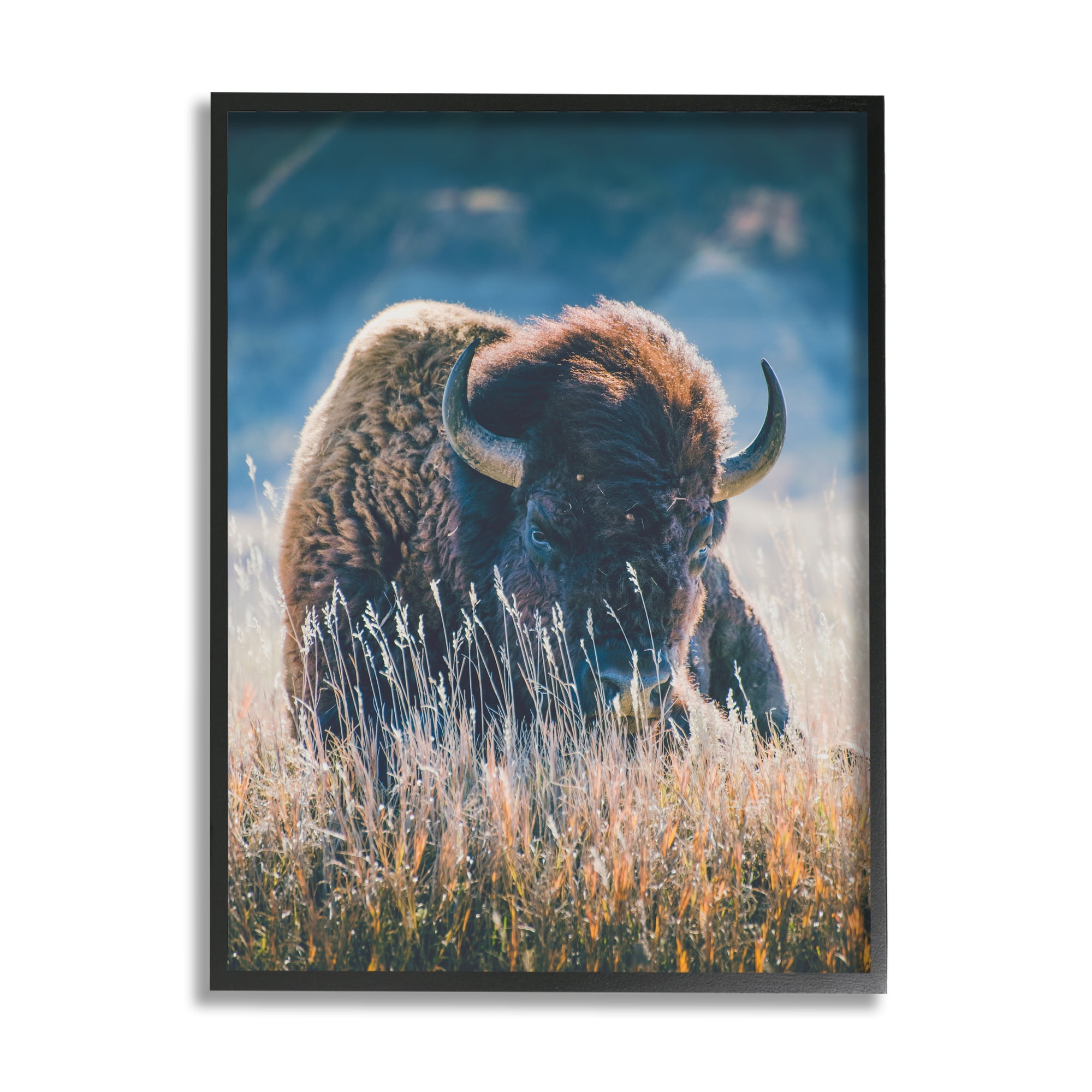 Stupell Industries Bison in Meadow Photography Animals & Insects Photography Black Framed Art Print Wall Art, 16 x 20