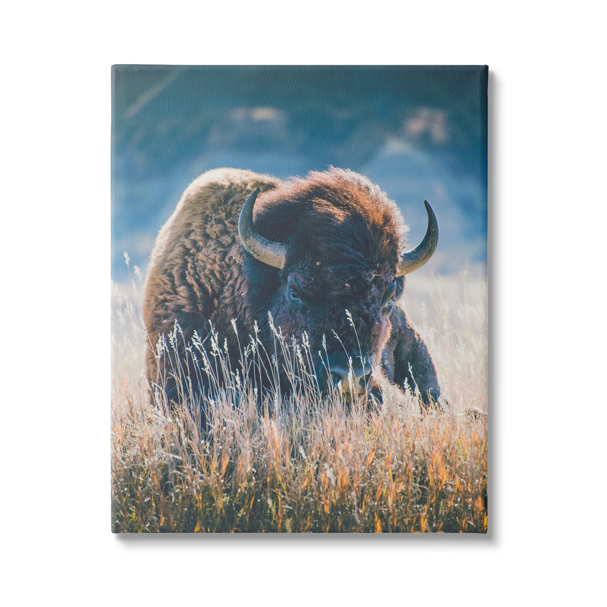 Stupell Industries Bison in Meadow Photography Animals & Insects Photography Gallery Wrapped Canvas Print Wall Art, 30 x 40