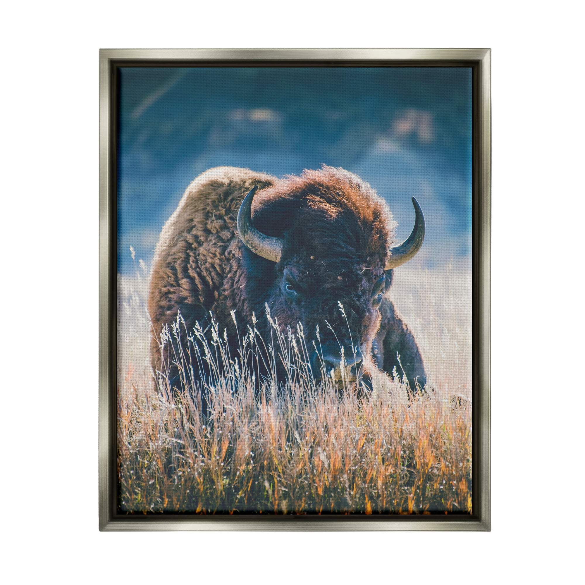 Stupell Industries Bison in Meadow Photography Animals & Insects Photography Gray Floater Framed Art Print Wall Art, 17 x 21