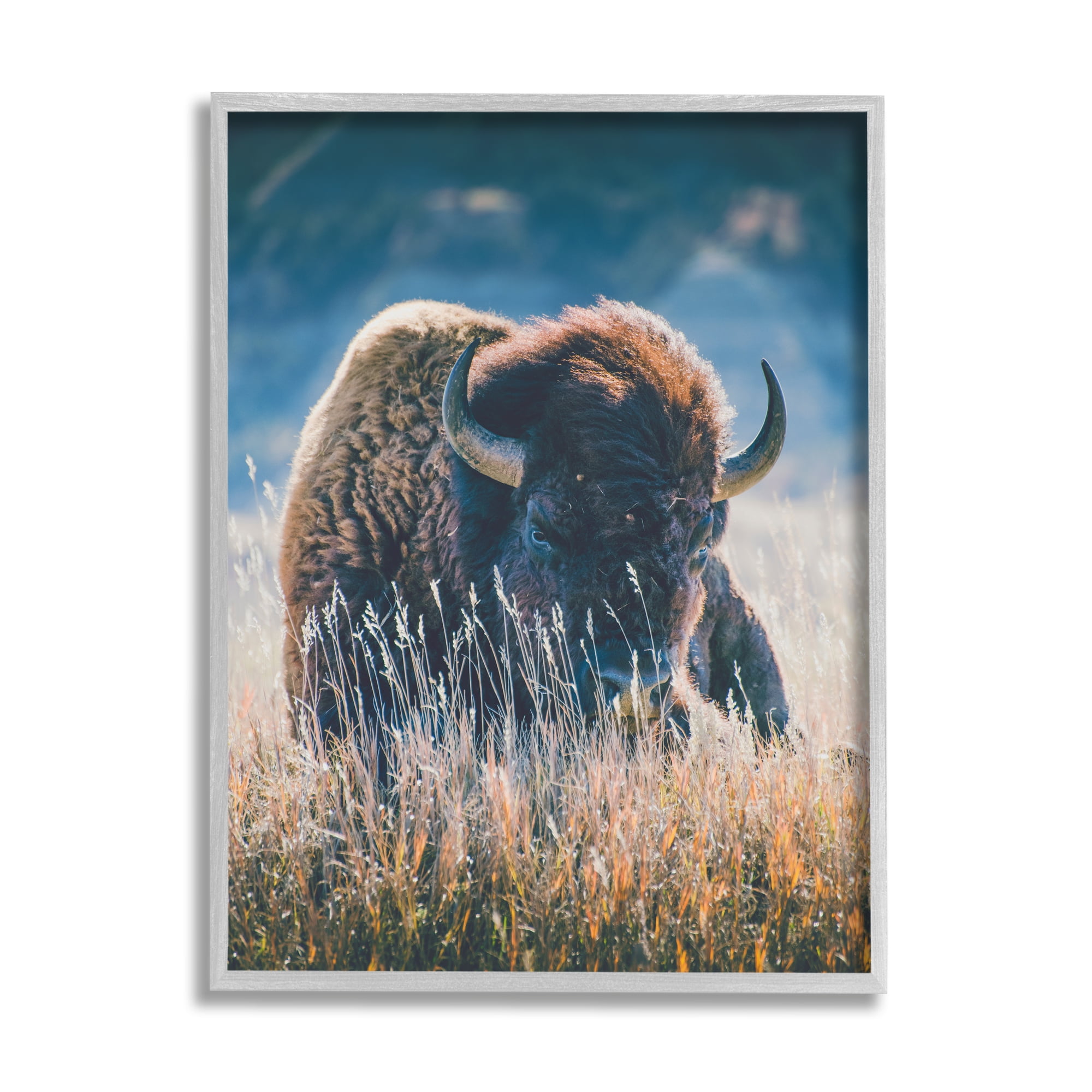 Stupell Industries Bison in Meadow Photography Animals & Insects Photography Gray Framed Art Print Wall Art, 24 x 30