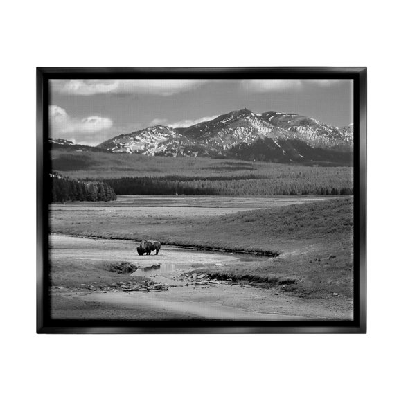 Stupell Industries Bison in Mountain Scene Landscape Photography Black Floater Framed Canvas Art Print Wall Art, 21 x 17