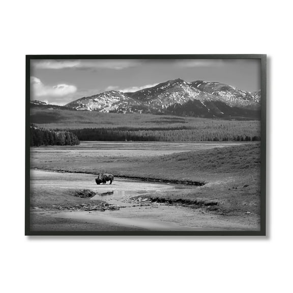 Stupell Industries Bison in Mountain Scene Landscape Photography Black Framed Art Print Wall Art, 14 x 11