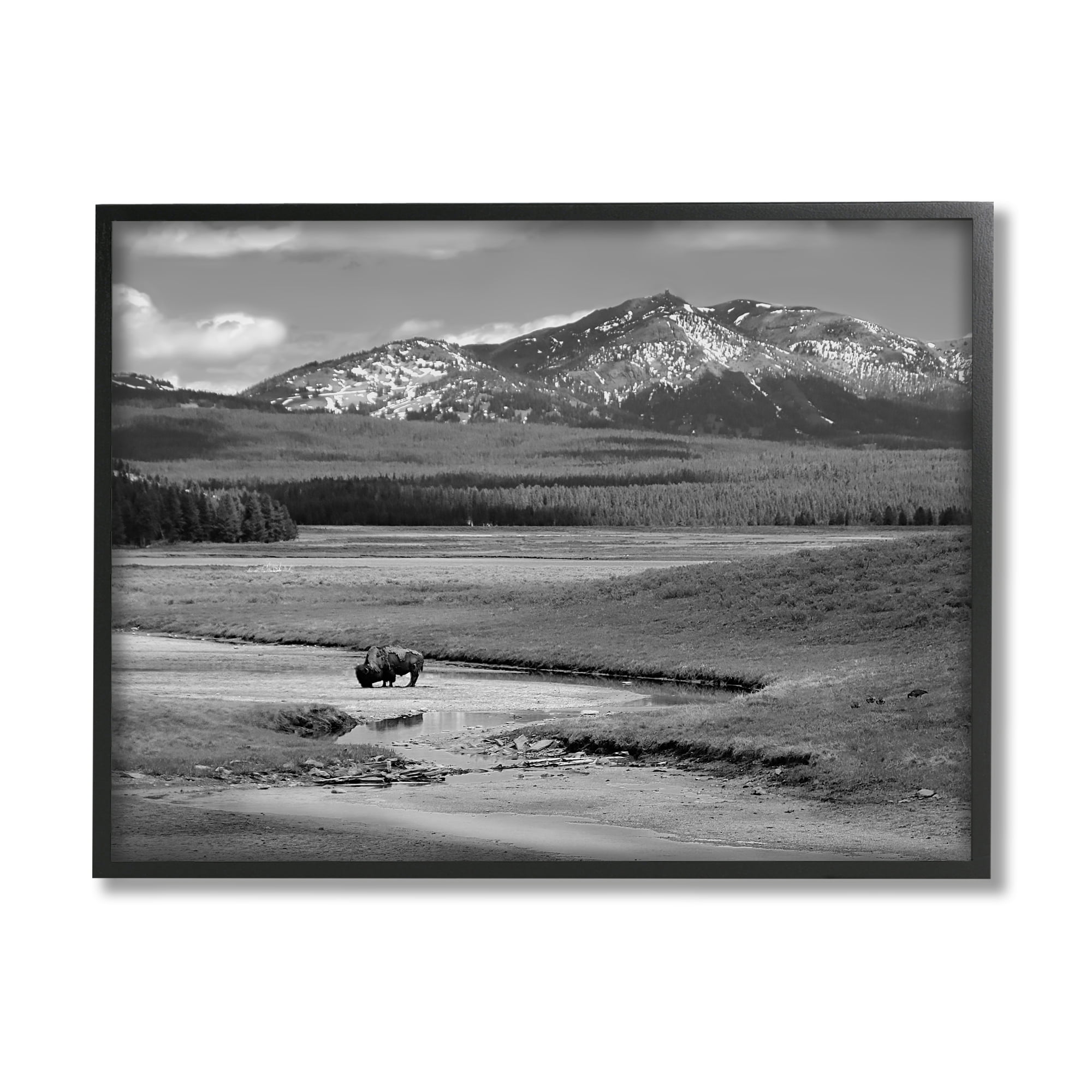 Stupell Industries Bison in Mountain Scene Landscape Photography Black Framed Art Print Wall Art, 30 x 24
