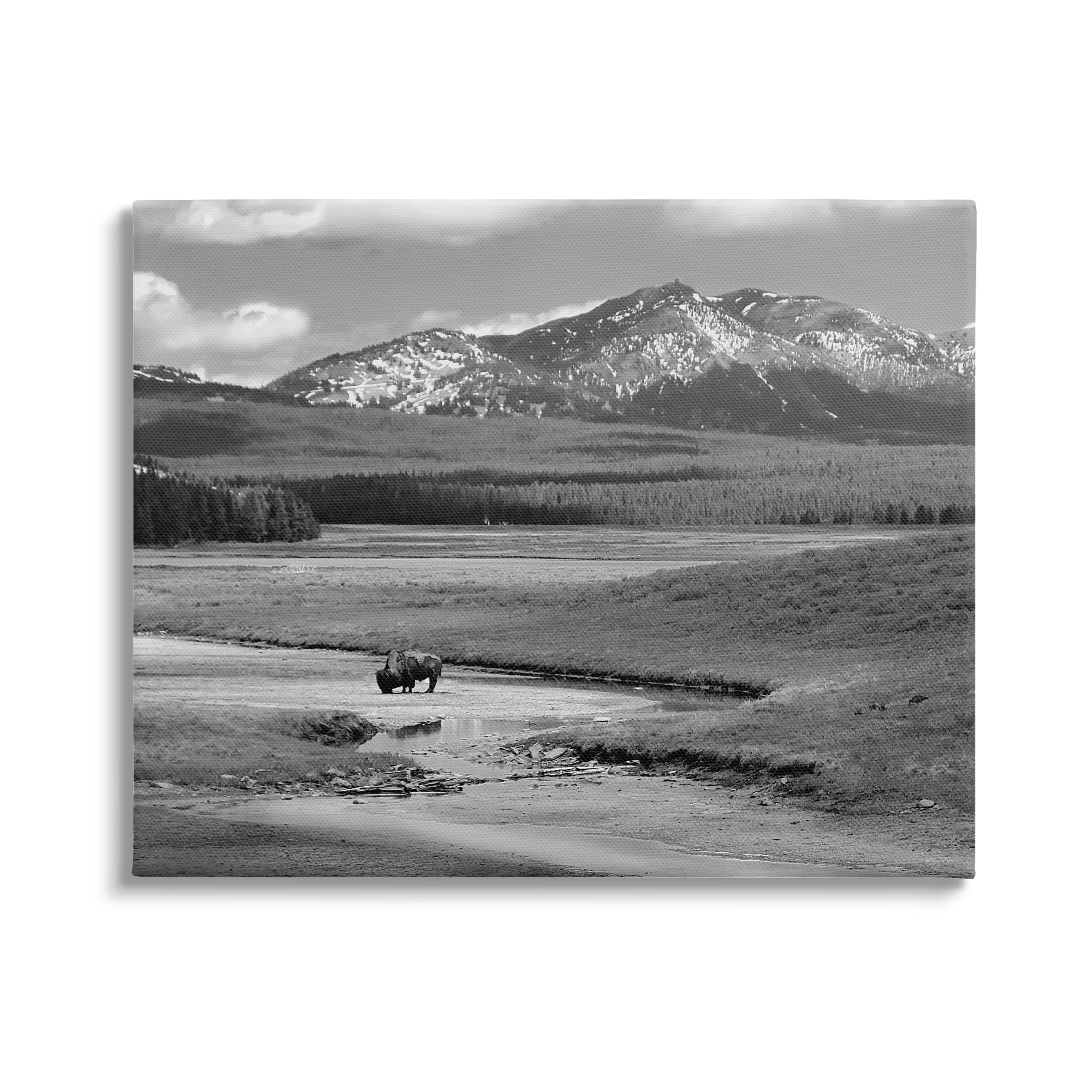 Stupell Industries Bison in Mountain Scene Landscape Photography Gallery Wrapped Canvas Art Print Wall Art, 20 x 16