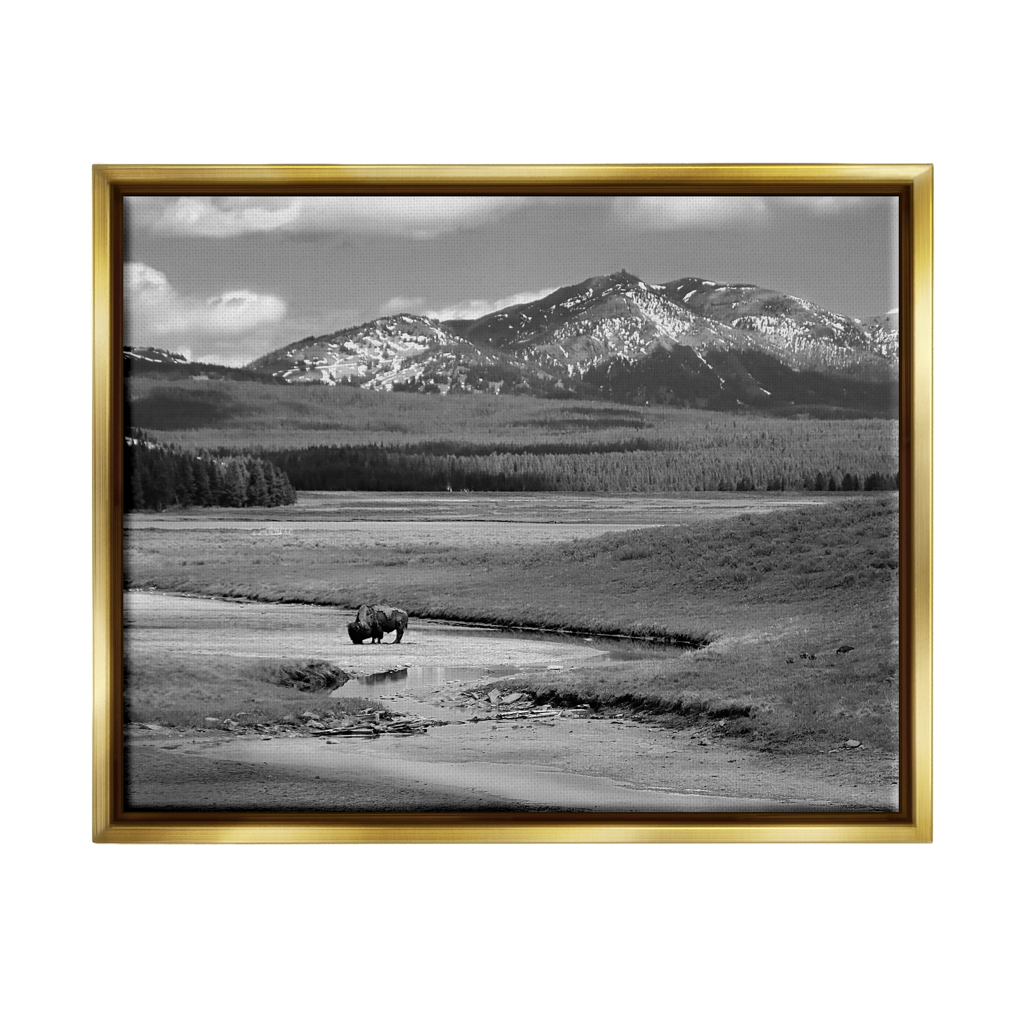 Stupell Industries Bison in Mountain Scene Landscape Photography Gold Floater Framed Canvas Art Print Wall Art, 21 x 17