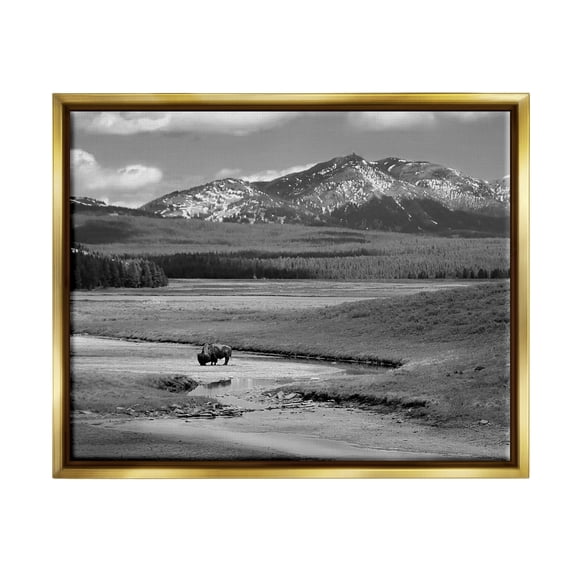 Stupell Industries Bison in Mountain Scene Landscape Photography Gold Floater Framed Canvas Art Print Wall Art, 21 x 17
