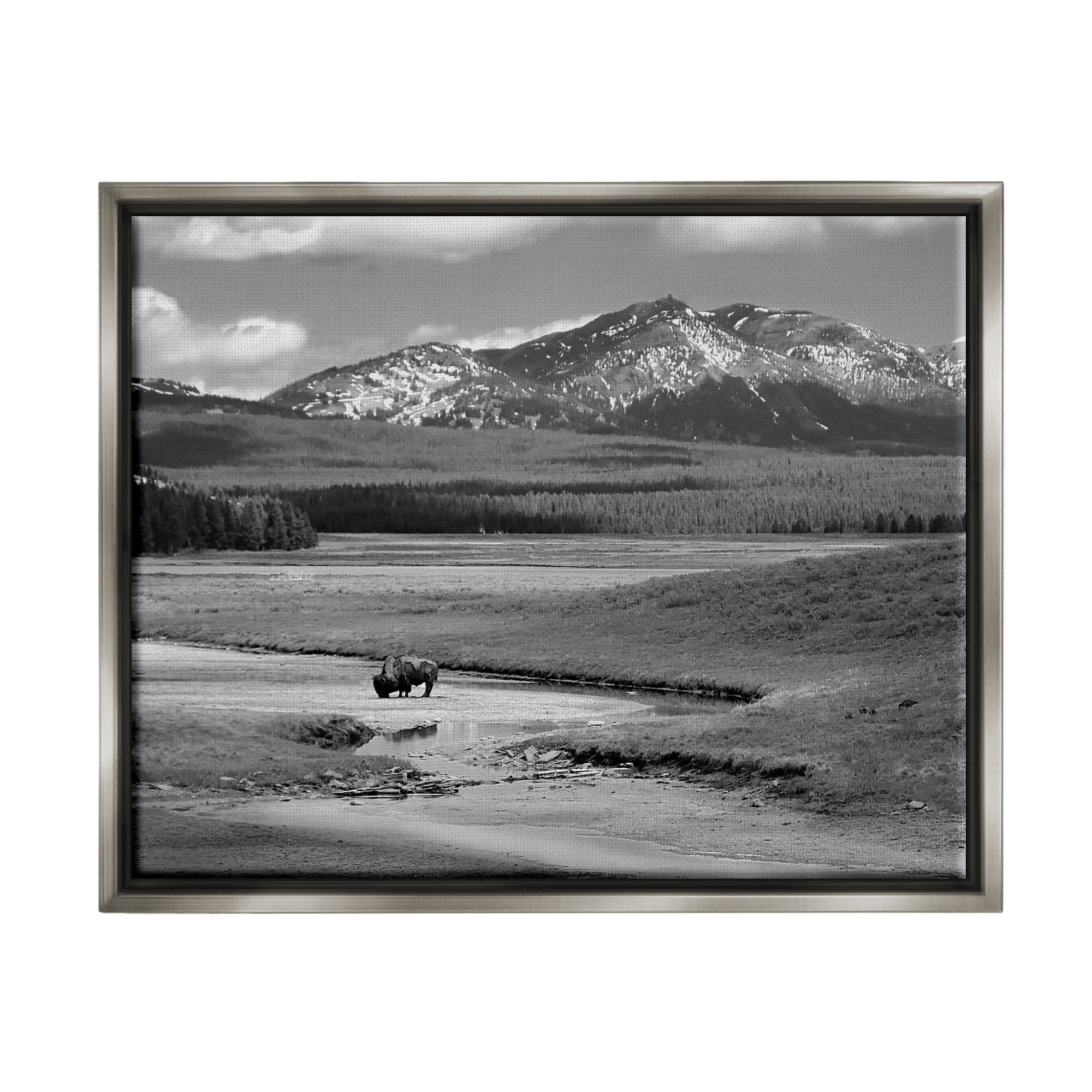 Stupell Industries Bison in Mountain Scene Landscape Photography Gray Floater Framed Canvas Art Print Wall Art, 21 x 17