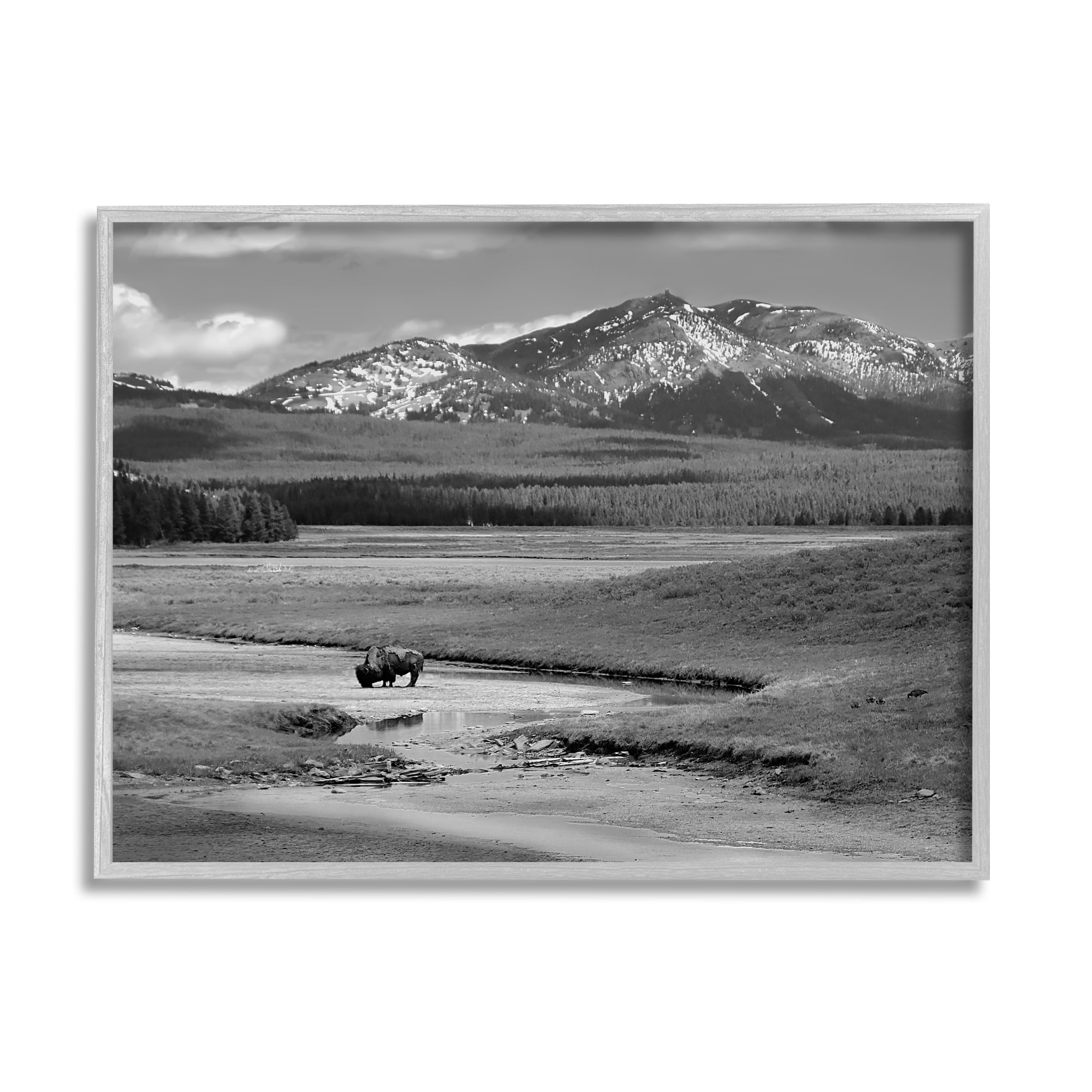 Stupell Industries Bison in Mountain Scene Landscape Photography Gray Framed Art Print Wall Art, 30 x 24