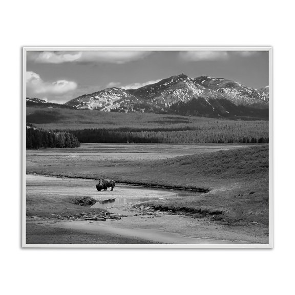 Stupell Industries Farmhouse Bison in Mountain Scene White Framed Giclee Art, 20 x 16, by Steve Toole